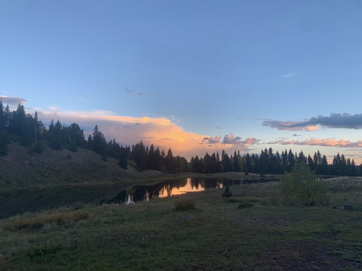 Pedaling 4 Pups blogging at 11K ft example